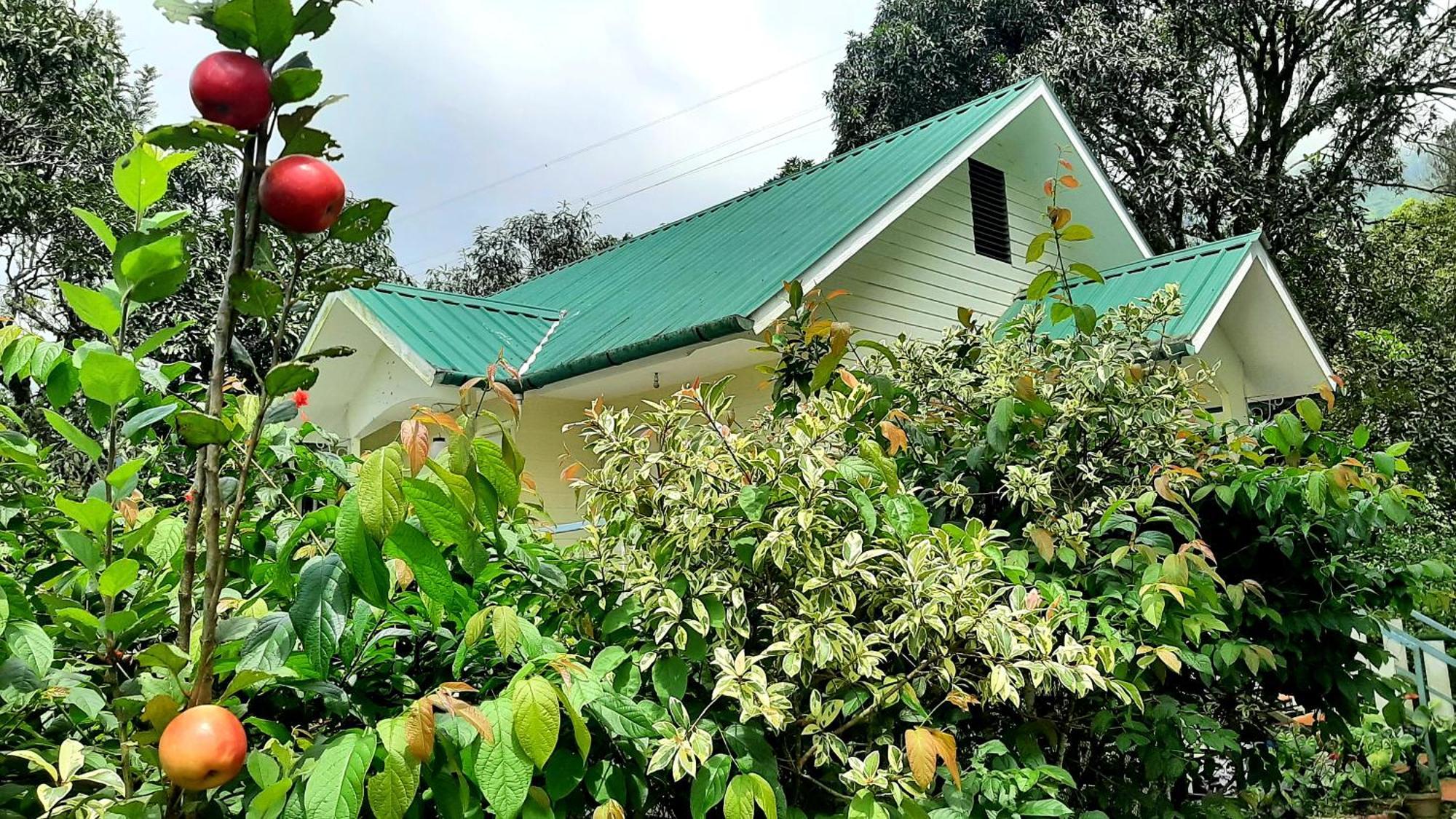 Summer Dew Anachal Exterior foto